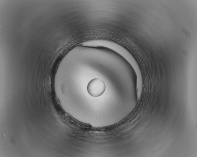 X0000111510552200908111311