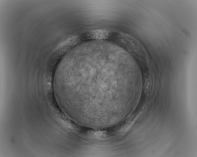 X0000111510553200908111311