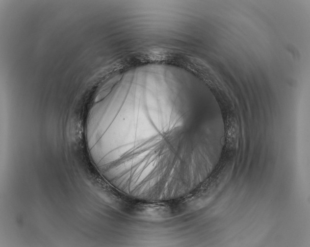 X0000111510555200908111311