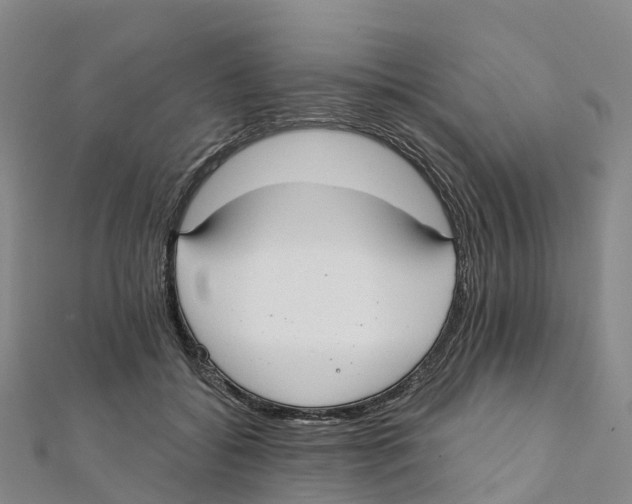 X0000111510556200908111311