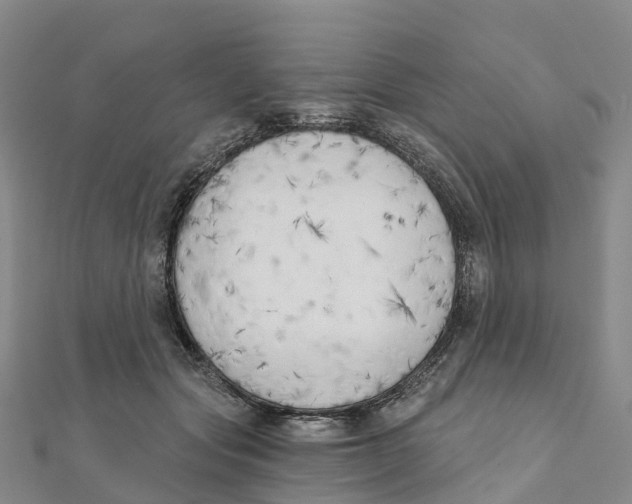X0000111510557200908111311