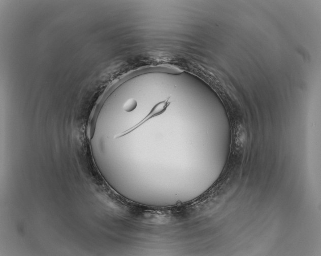 X0000111510559200908111311