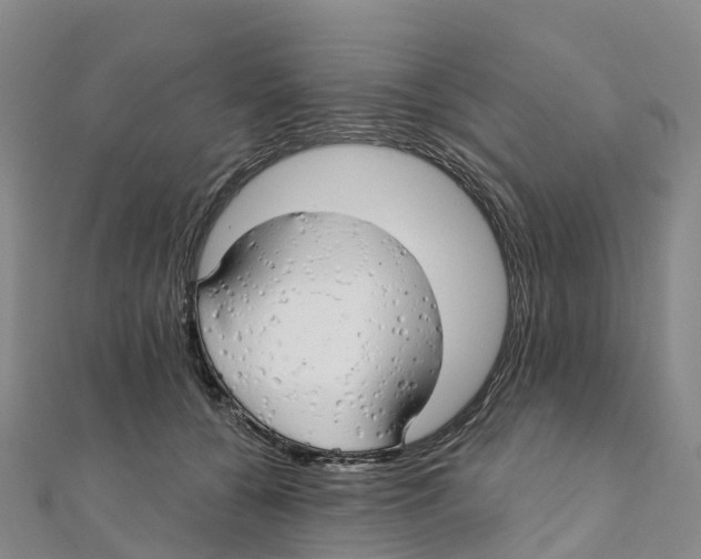 X0000111510560200908111311