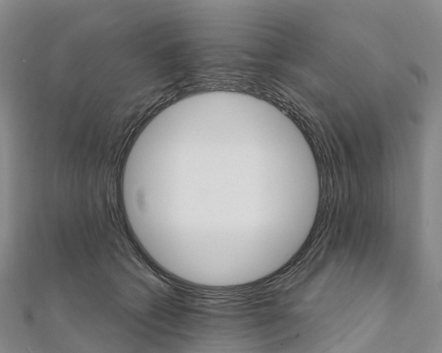 X0000111510562200908111311