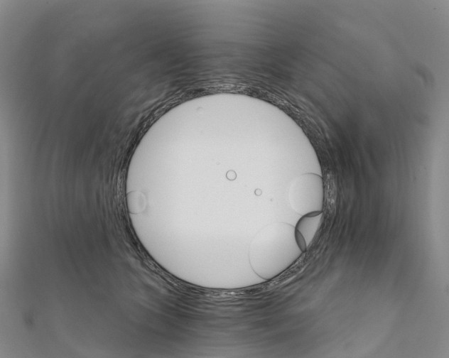 X0000111510563200908111311