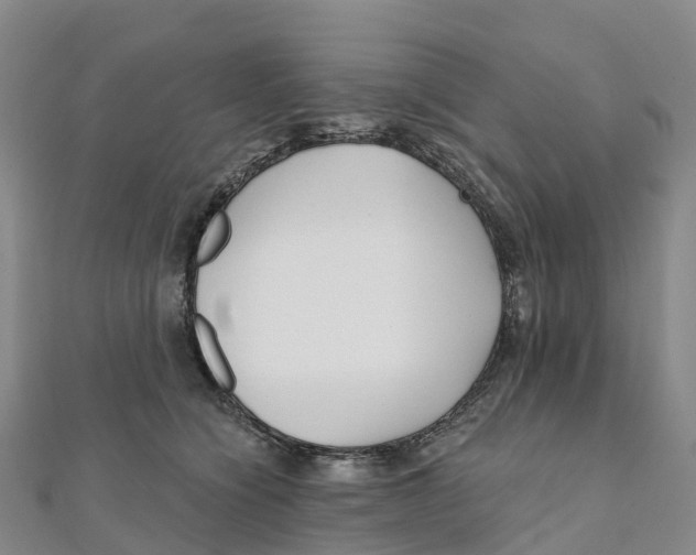 X0000111510564200908111311