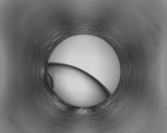 X0000111510566200908111311
