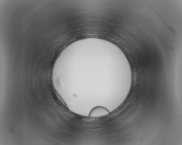 X0000111510567200908111311
