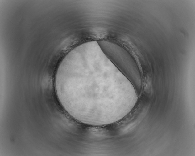 X0000111510568200908111311