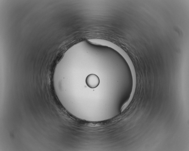X0000111510570200908111311