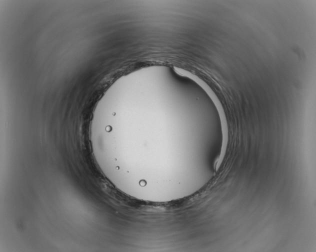 X0000111510572200908111311