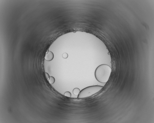 X0000111510575200908111311
