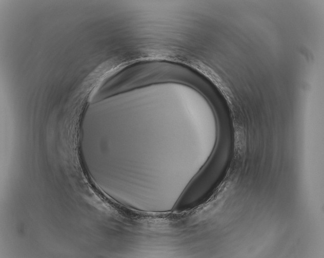 X0000111510577200908111311