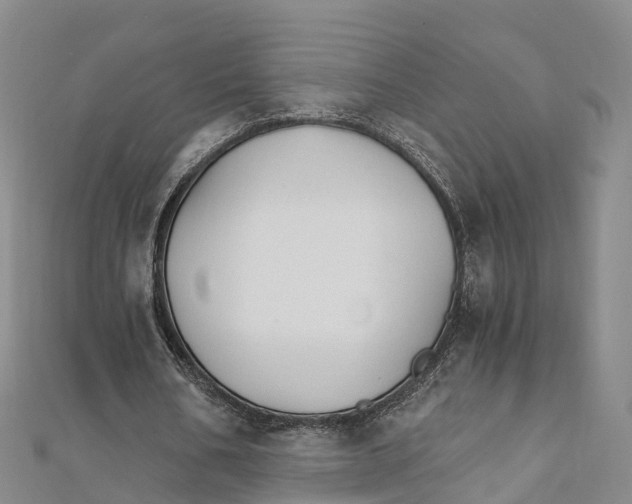 X0000111510578200908111311