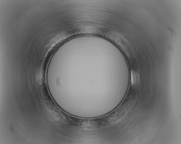 X0000111510579200908111311