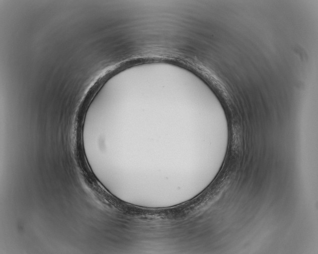 X0000111510580200908111311