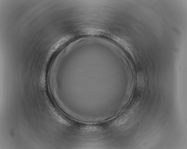 X0000111510581200908111311