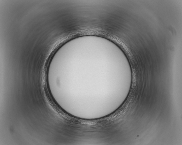 X0000111510582200908111311