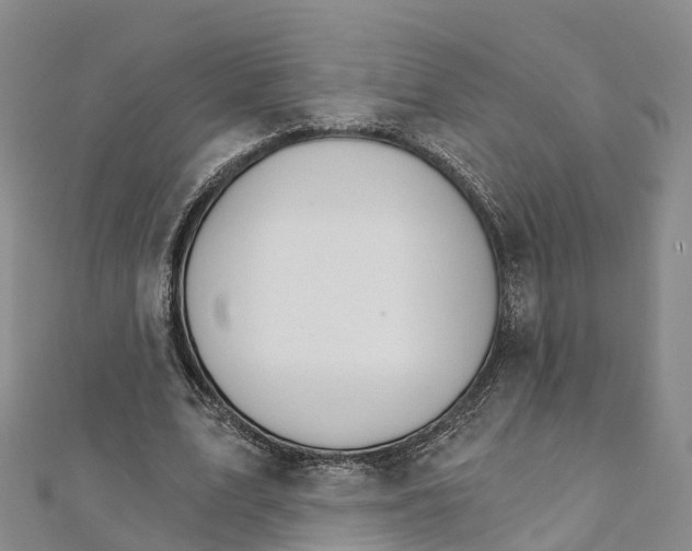 X0000111510583200908111311