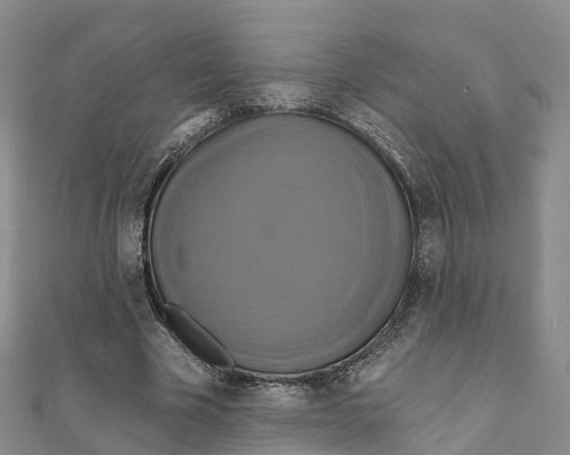 X0000111510585200908111311