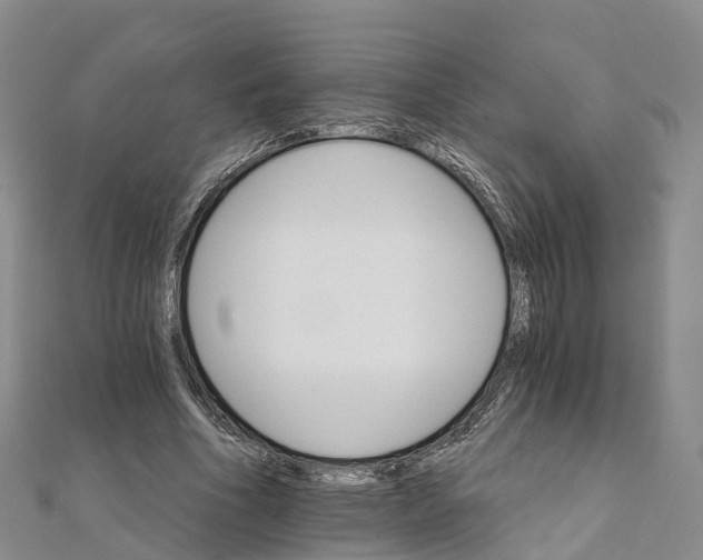 X0000111510586200908111311