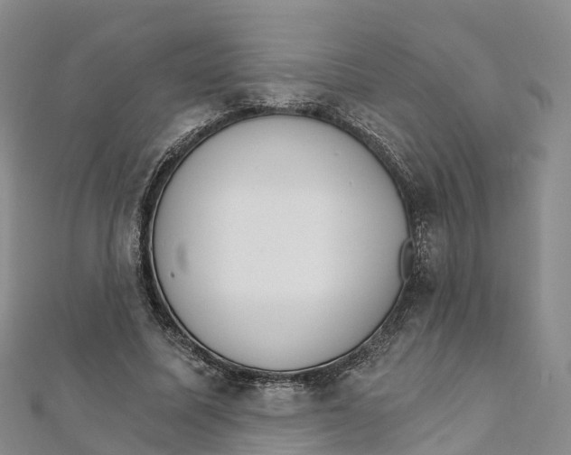 X0000111510587200908111311