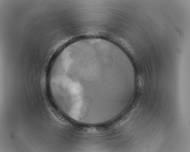 X0000111510588200908111311