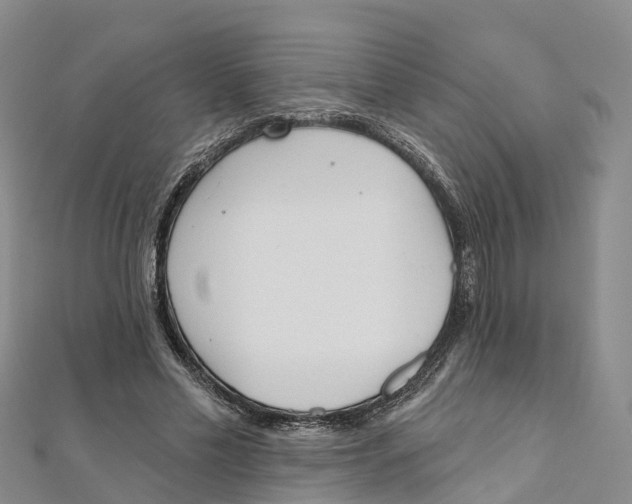 X0000111510589200908111311