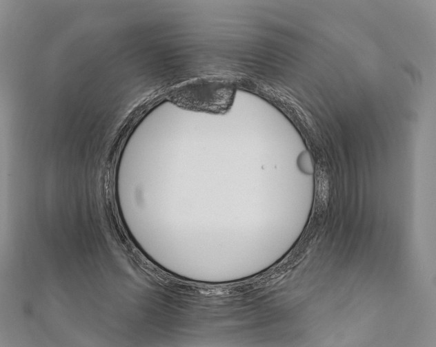 X0000111510591200908111311