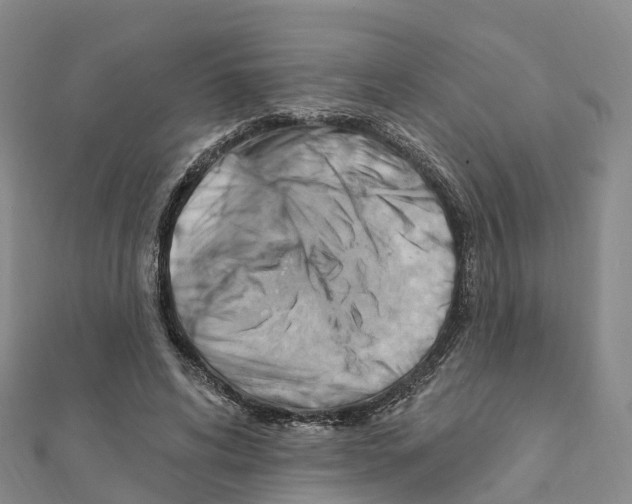 X0000111510592200908111311