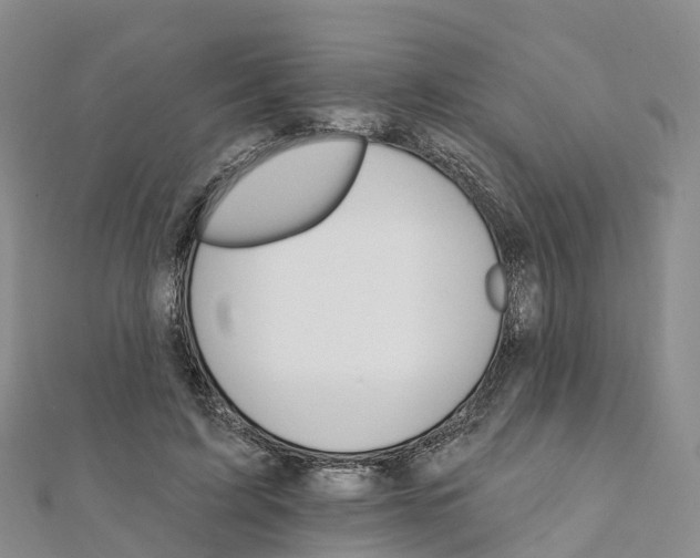X0000111510595200908111311