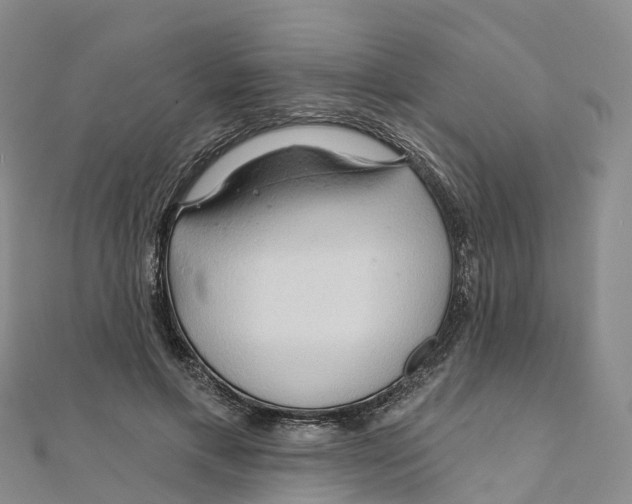 X0000111510597200908111311
