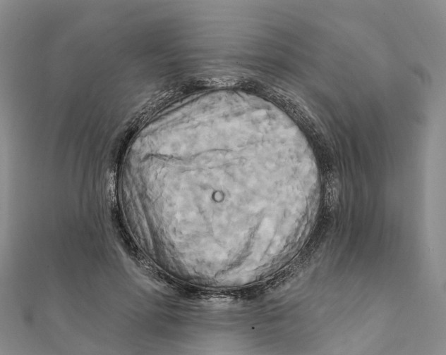 X0000111510598200908111311