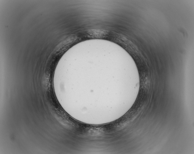 X0000111510599200908111311