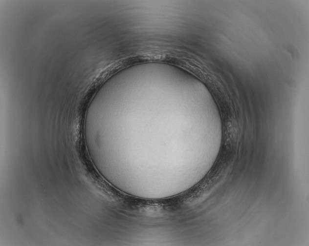 X0000111510600200908111311