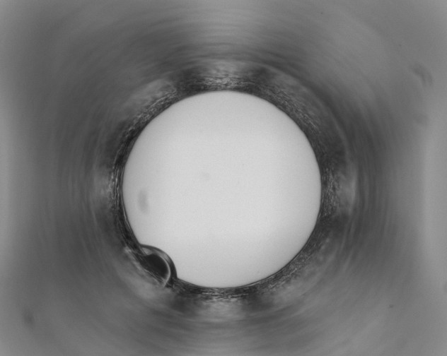 X0000111510601200908111311
