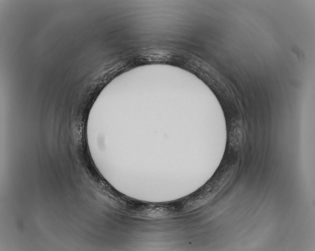 X0000111510604200908111310