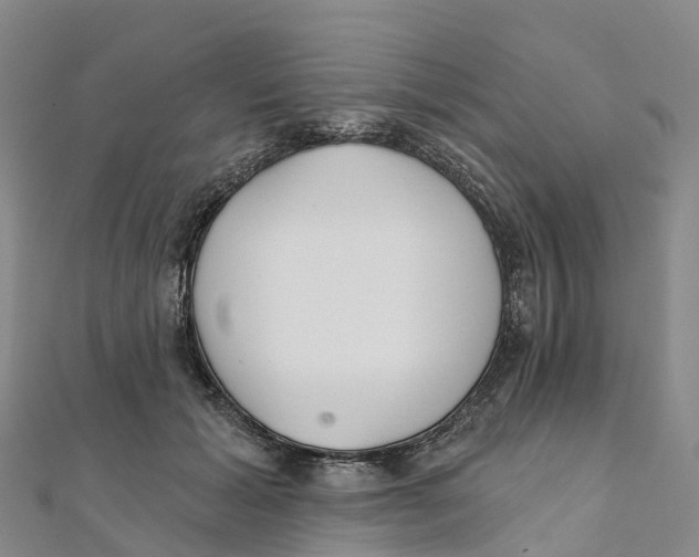 X0000111510605200908111310