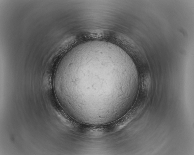 X0000111510606200908111310