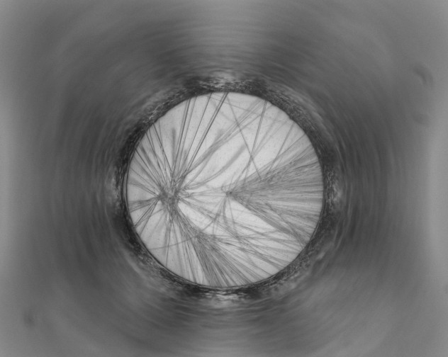 X0000111510607200908111310