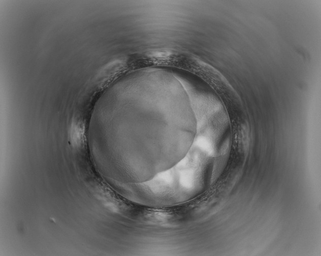X0000111510610200908111310