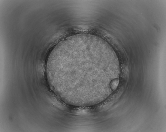 X0000111510612200908111310