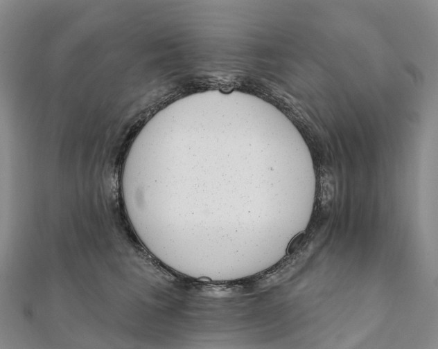 X0000111510613200908111310