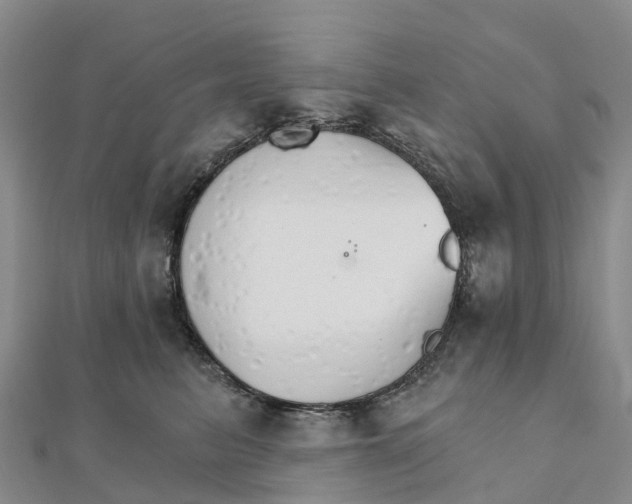 X0000111510615200908111310