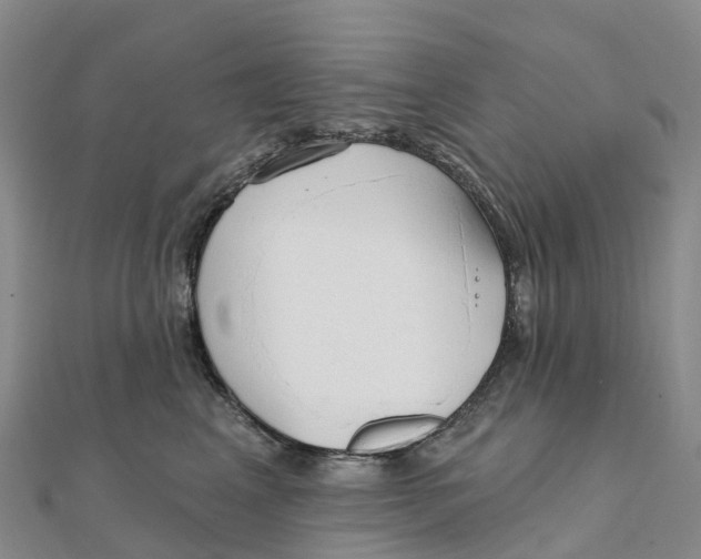 X0000111510617200908111310