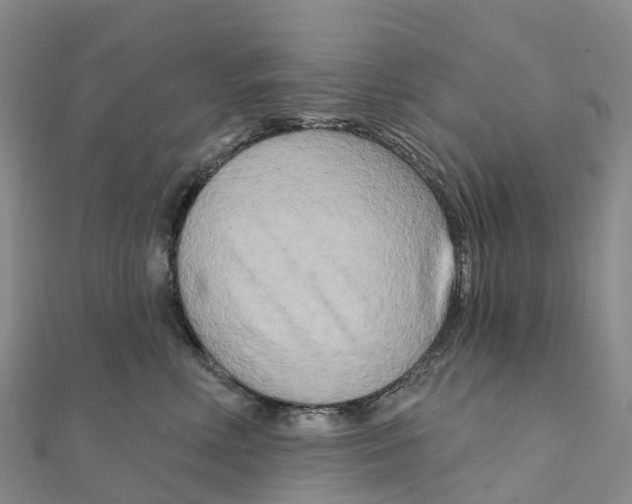 X0000111510618200908111310