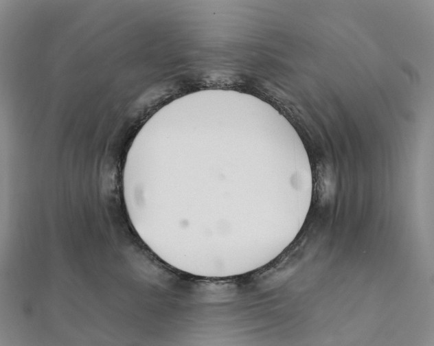 X0000111510619200908111310
