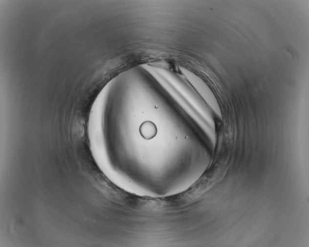 X0000111510621200908111310