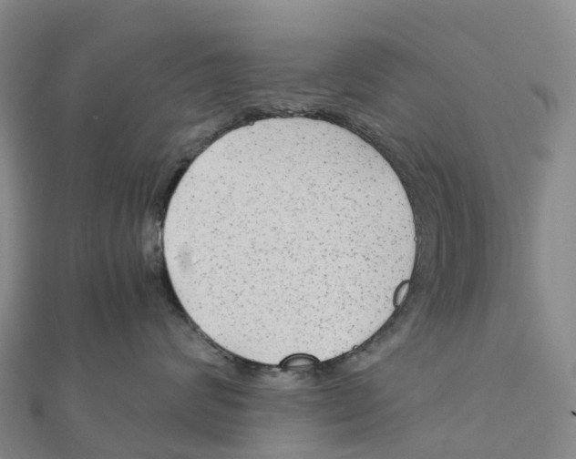 X0000111510624200908111310