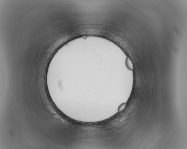 X0000111510625200908111309